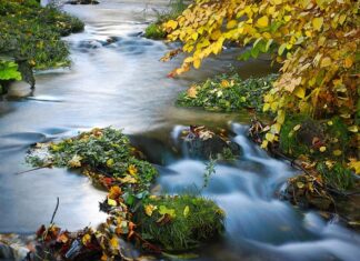 Co to jest naświetlanie paliatywne?