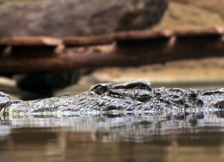 Na czym polega zasada nienaruszalności granic?
