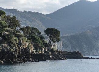 Ile kosztuje legalny Windows?