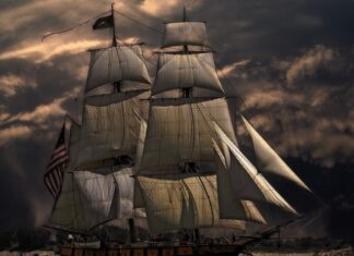 Co po studiach nawigacji?