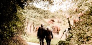 Ile wynosi emerytura marynarza?