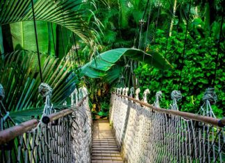 Co się robi na kursie animatora? Co się robi na kursie animatora?