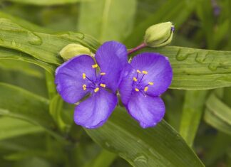 Czy kreator CV jest bezpieczny? Czy kreator CV jest bezpieczny?