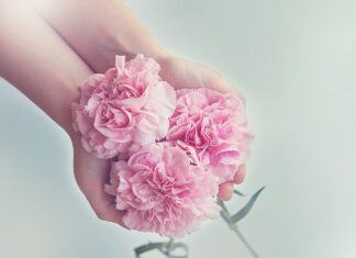 Czy dochód z gospodarstwa rolnego podlega opodatkowaniu? Czy dochód z gospodarstwa rolnego podlega opodatkowaniu?