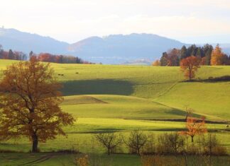 Ile to jest 22.50 brutto?