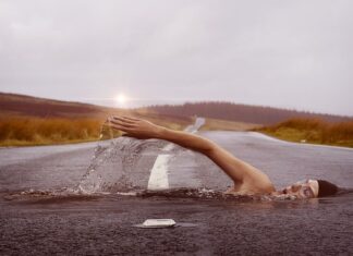 Co zrobić żeby pływać na statkach?