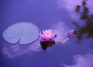 Ile wynosi stawka godzinowa w rolnictwie? Ile wynosi stawka godzinowa w rolnictwie?