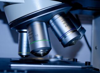 Na jakie studia można iść po technikum obsługi turystycznej?