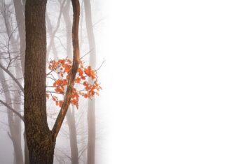 Jakie są negatywne skutki rozwoju turystyki? Jakie są negatywne skutki rozwoju turystyki?