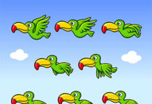 Ile kosztuje 30 sekund animacji